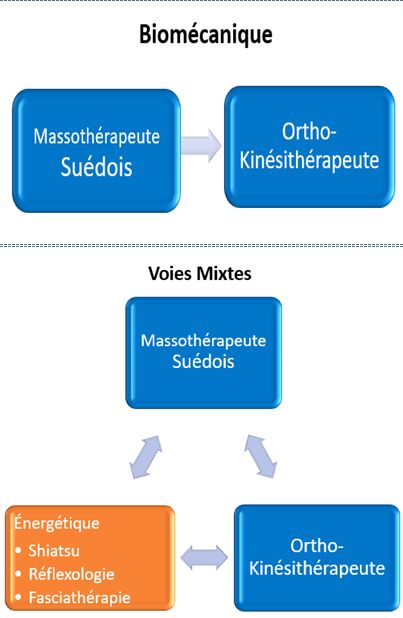 organigramme formation